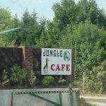 Jungle Cafe CC Bexley A20 meeting